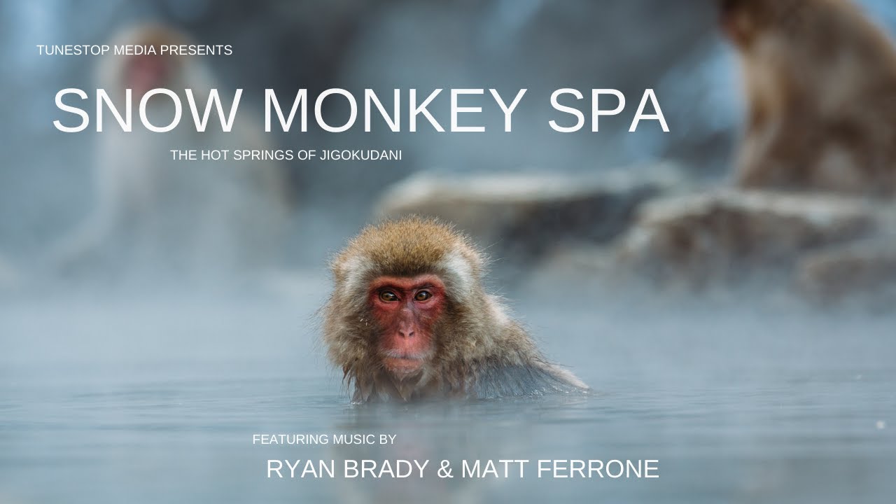 Snow Monkey Spa - The Hot Springs of Jigokudani
