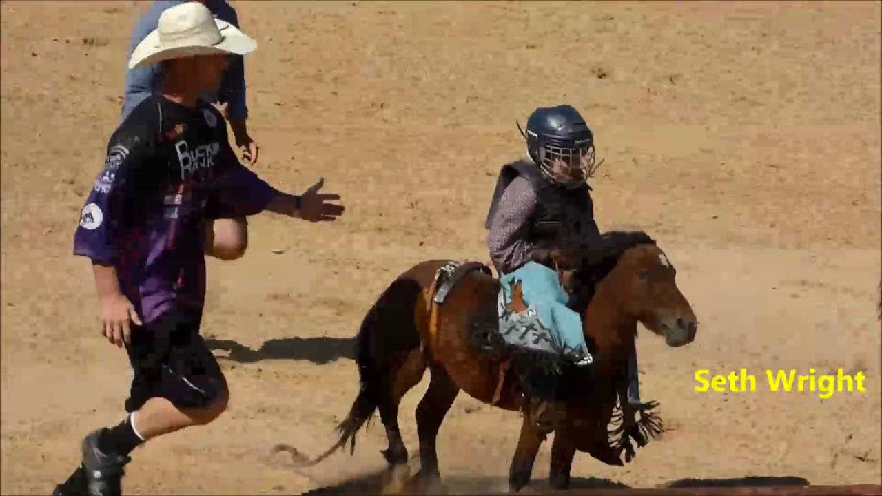 Southeastern Circuit Mini Bareback Finals
