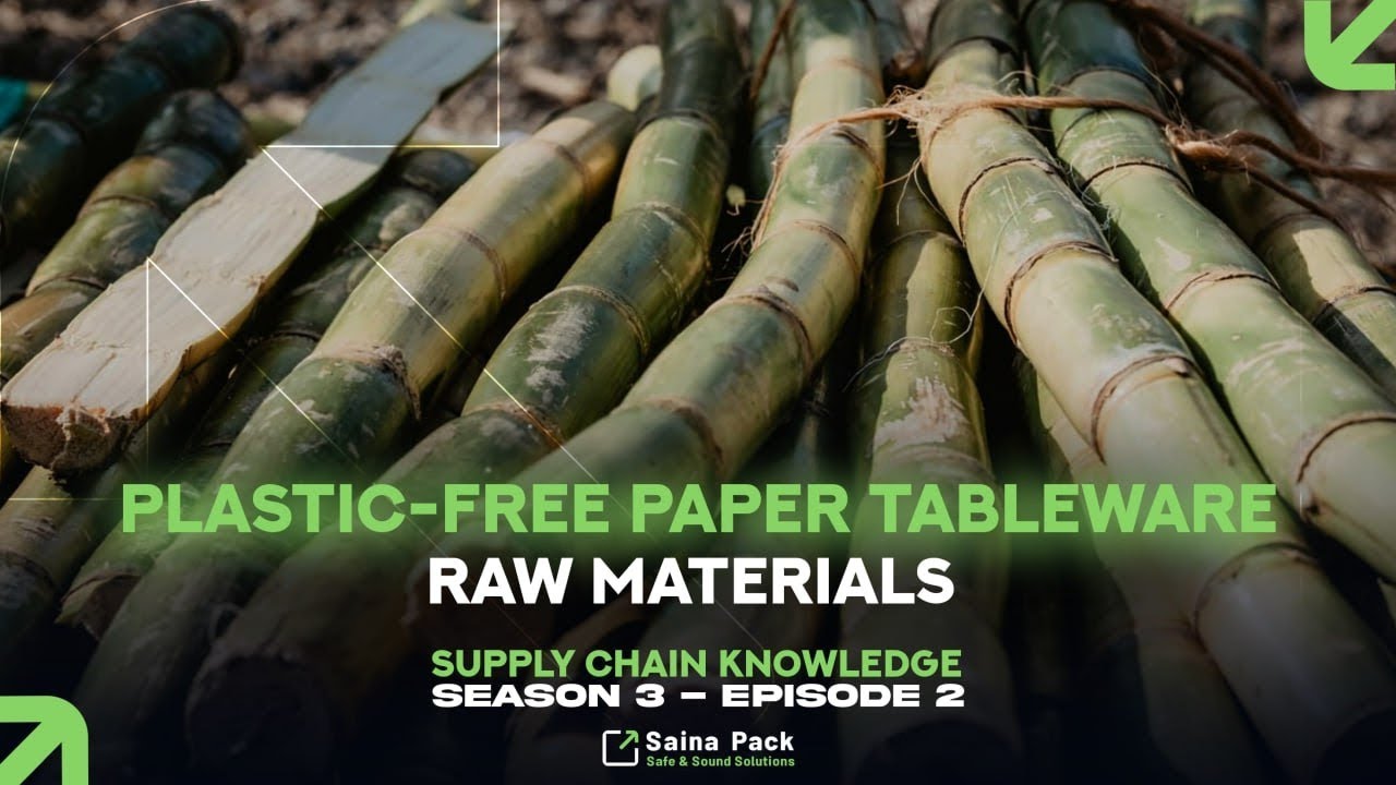 Plastic-Free Paper Tableware | Raw Materials for Sustainable Packaging