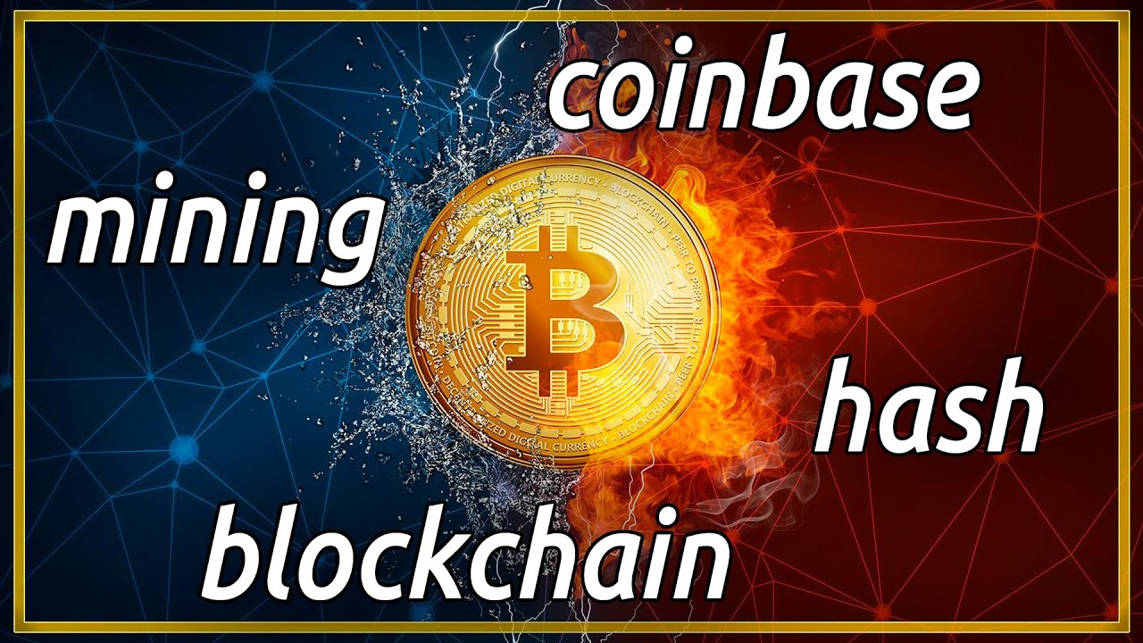 BITCOIN: ¿ESPECULACION? La ciencia de las criptomonedas