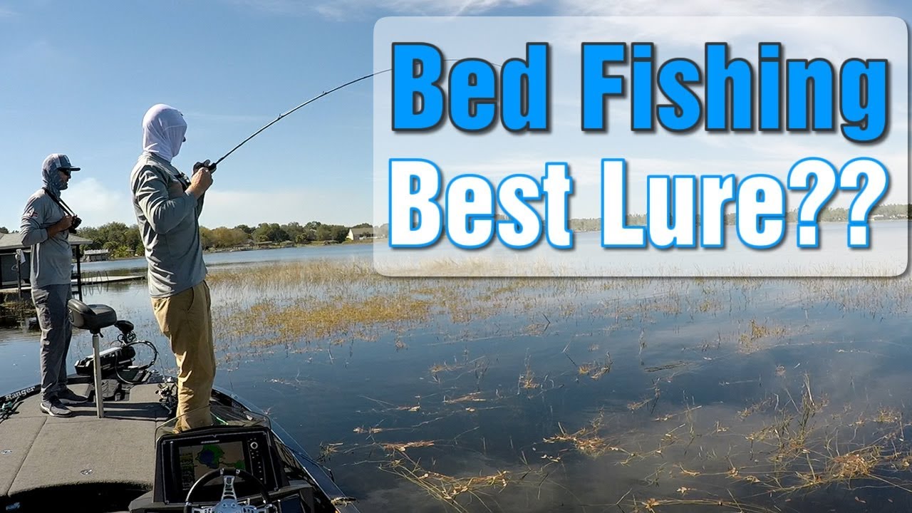 Sight Fishing for Spawning Largemouth Bass | Best Lure for Bed Fishing - Johns Lake