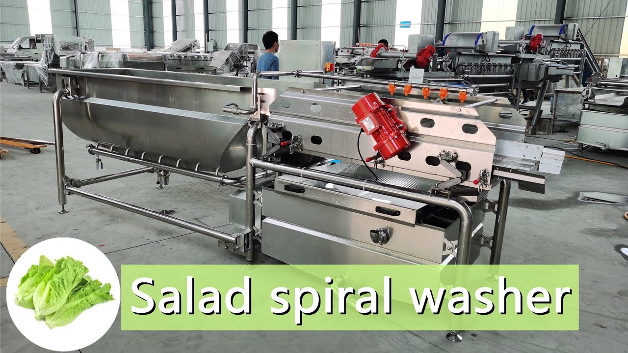 Salad washing machine vegetable spiral washer from zibounique
