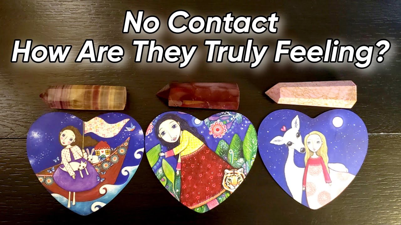 No Contact 💕 How Are They Feeling Towards You? Pick A Card 💌 What Message Do They Have For You?