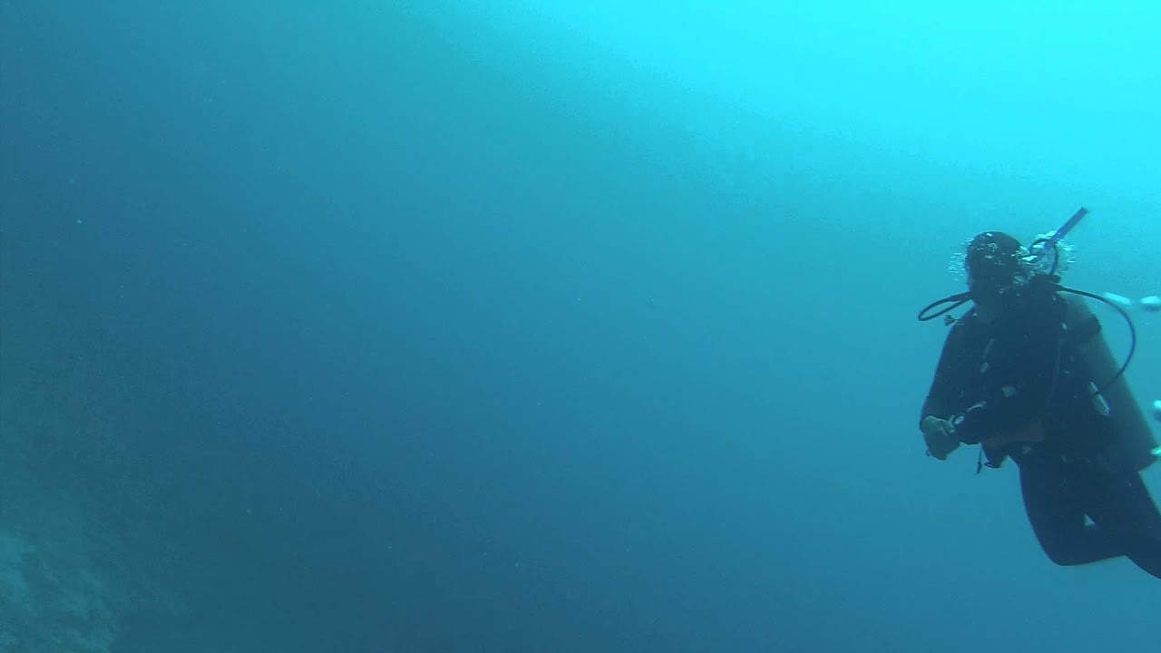 Playa del Carmen 1-2-16 Wreck Dive Mama Vina