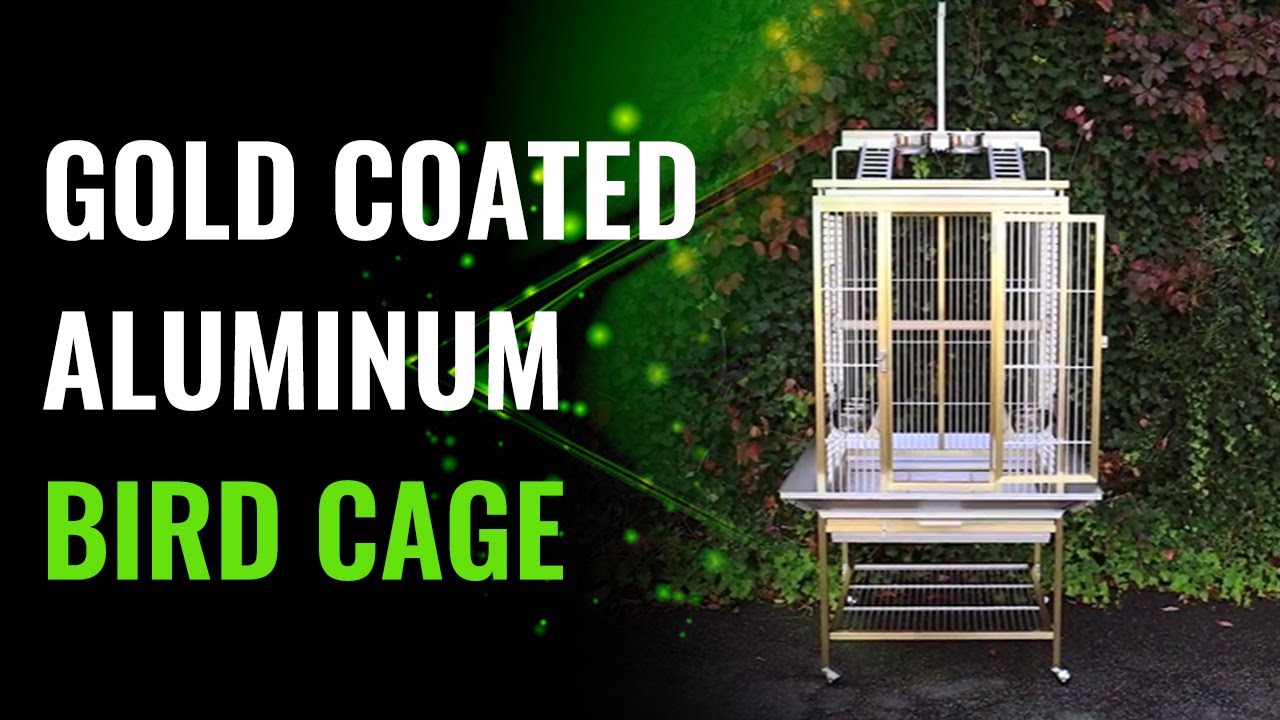 Gold Decorative Bird Cage | Aluminum Travel Bird Cage | King's Cages