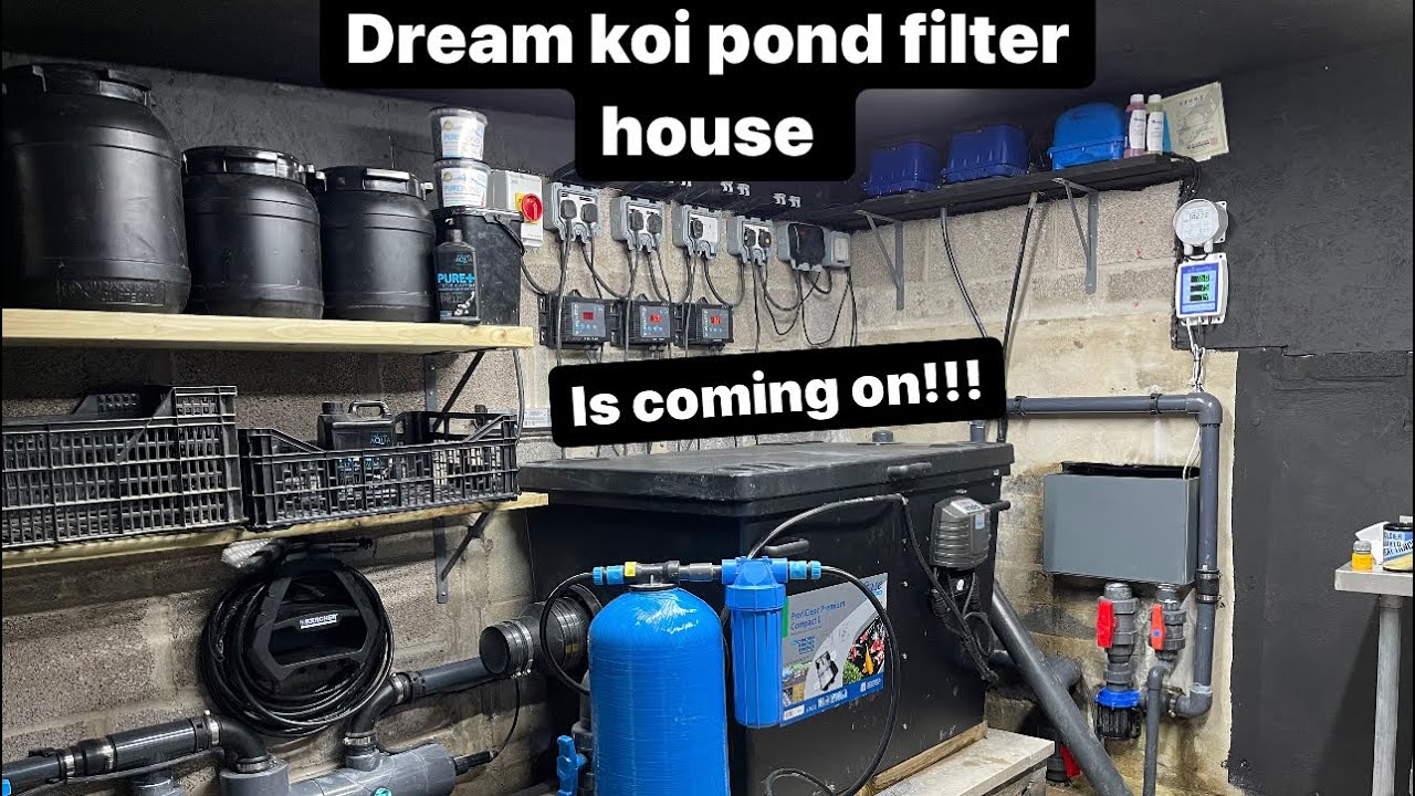2000 gallon koi pond filter house, oase compact L drum filter, custom UV, evaluation aqua pumps