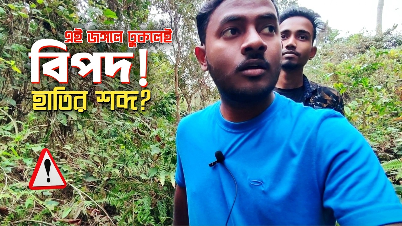Fafri Forest: এর ভয়ংকর অভিজ্ঞতা 😱
