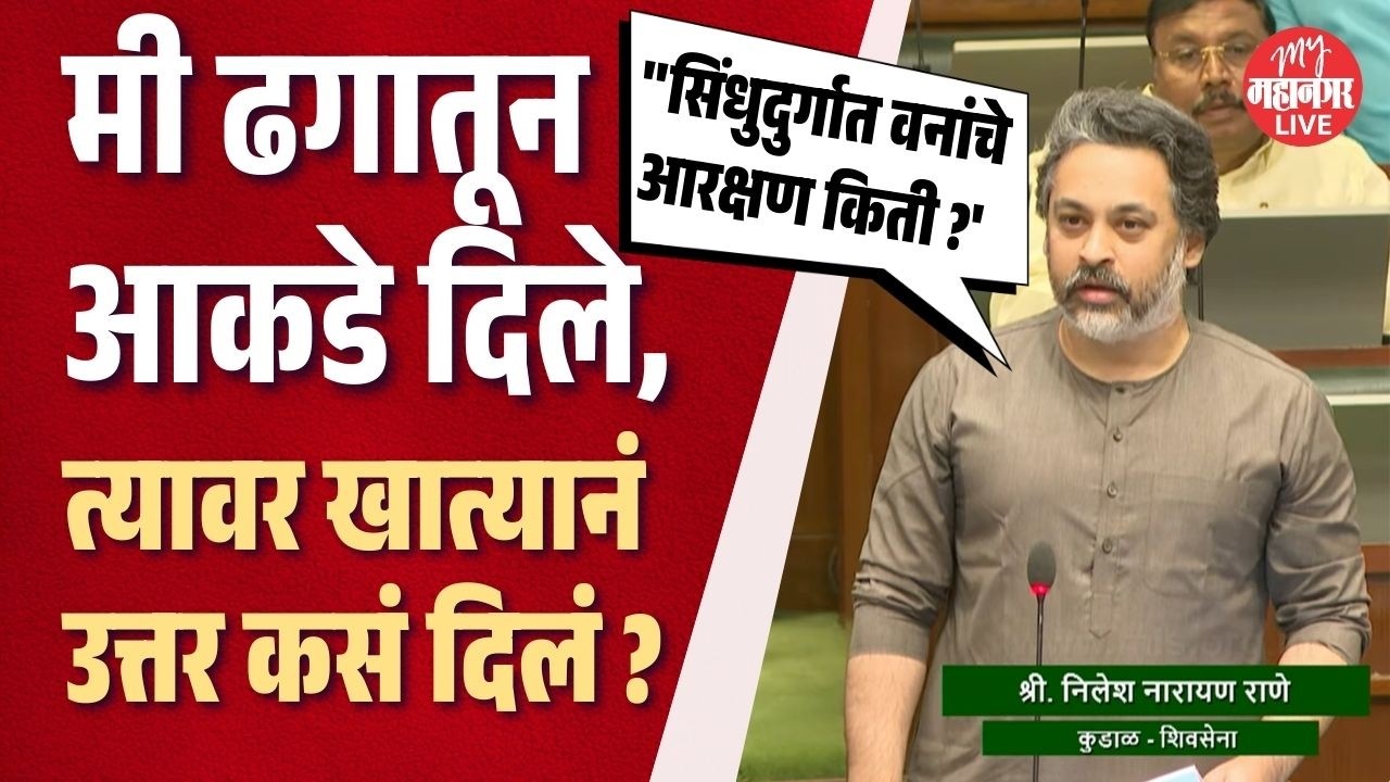 मी ढगातून काढून आकडे दिले तरी त्यावर खात्याचे उत्तर आले, Nilesh Rane विधानसभेत भिडले | Bawankule