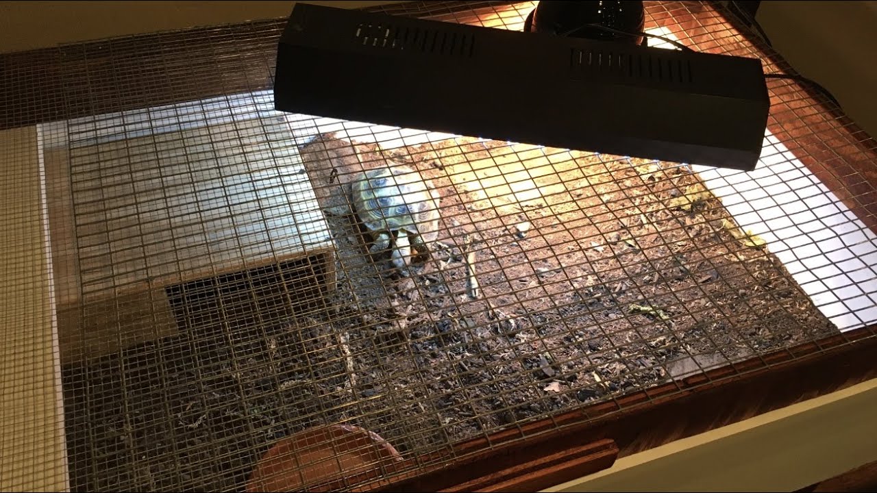 Building An Entire Tortoise Table Out Of Scape Material!!! | DIY Reptiles