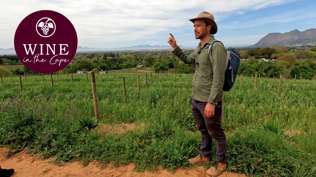 The Constantia Wine Walk with Natural Wanders