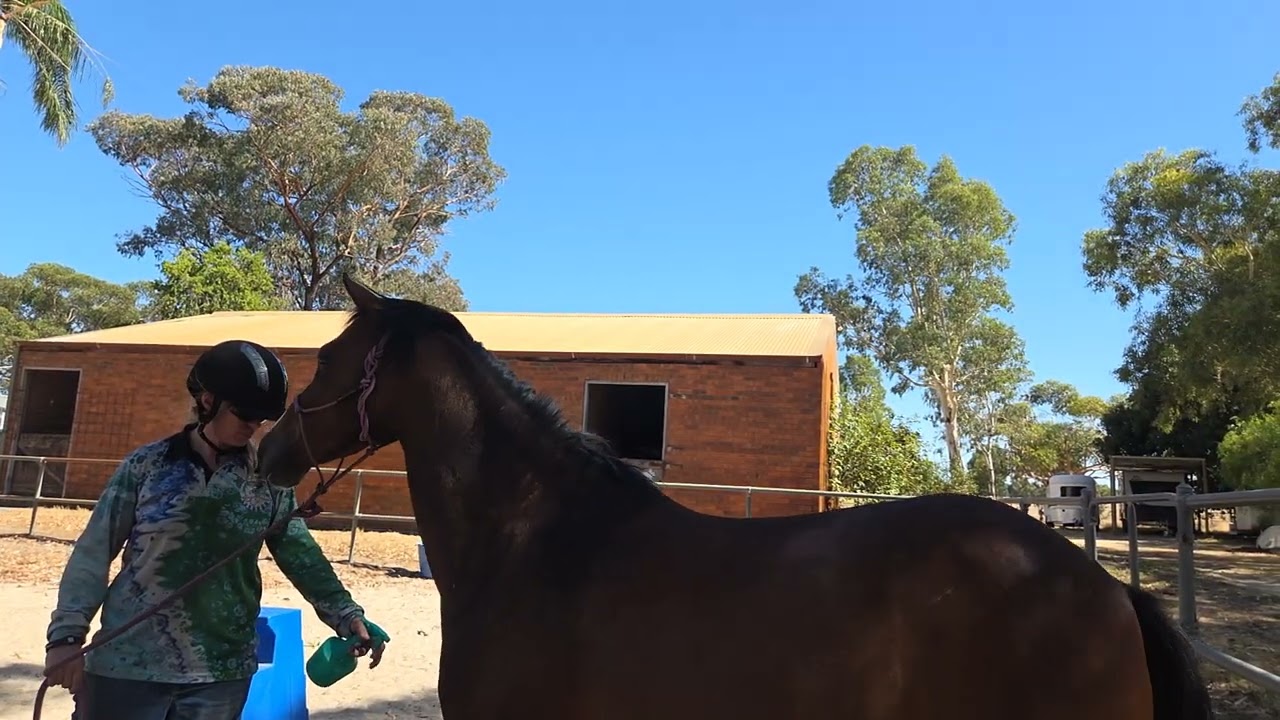 Introducing Fly spray part two