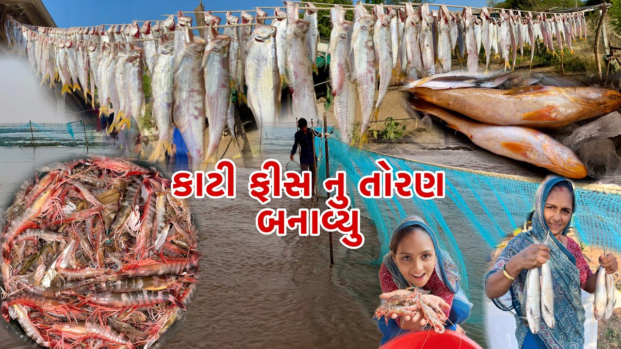 આજે પહેલી વખત મોટા હોંઢીયા આવ્યા🦐Jinga.palva fishing 🎣dariyai khedut