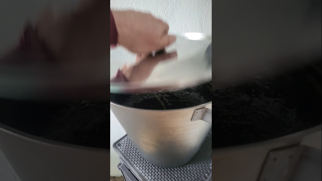 Bienenwachs  Entseuchen schnelle und einfach