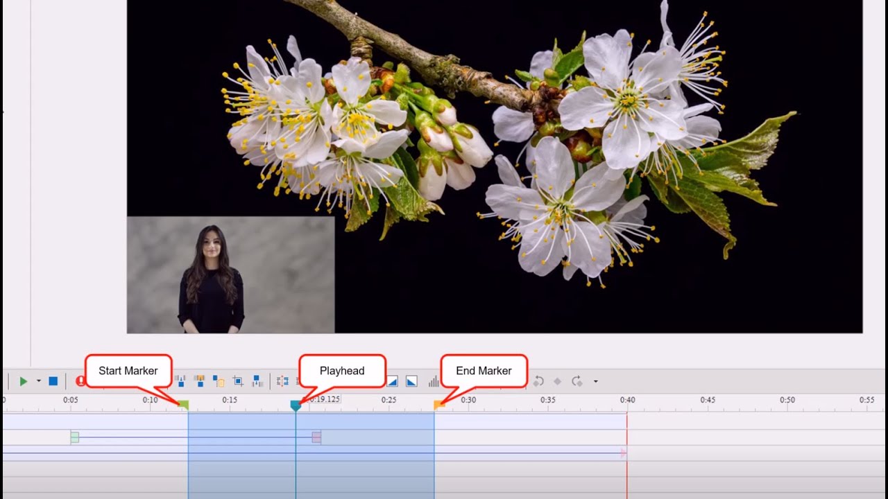 Use Hotkeys to Manipulate the Playhead and Markers - ActivePresenter 8