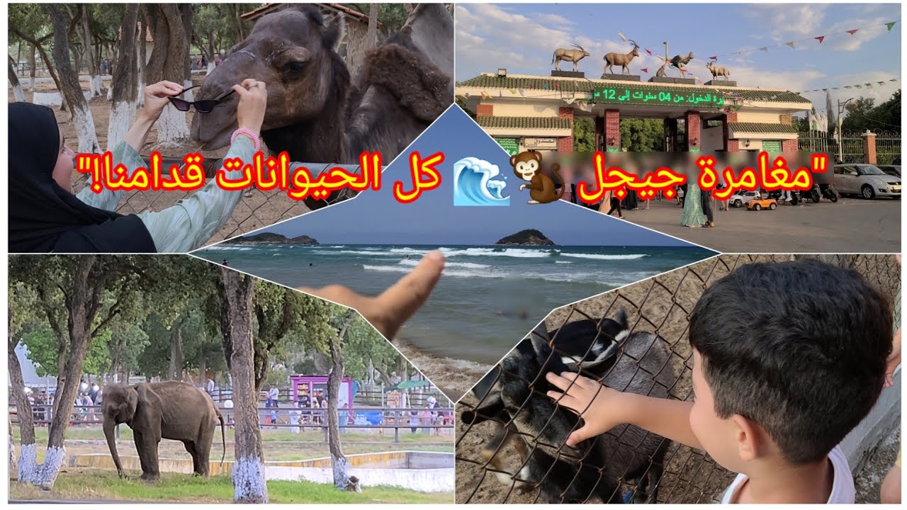 من تيقزيرت لجيجل… مغامرة بين الشواطئ وحديقة الحيوانات وشوفو كل الحيوانات اللي شفناها 🐒🦁🦓