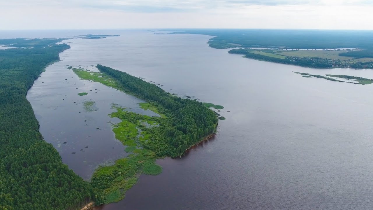 Биолог Кузнецов о Рыбинском водохранилище