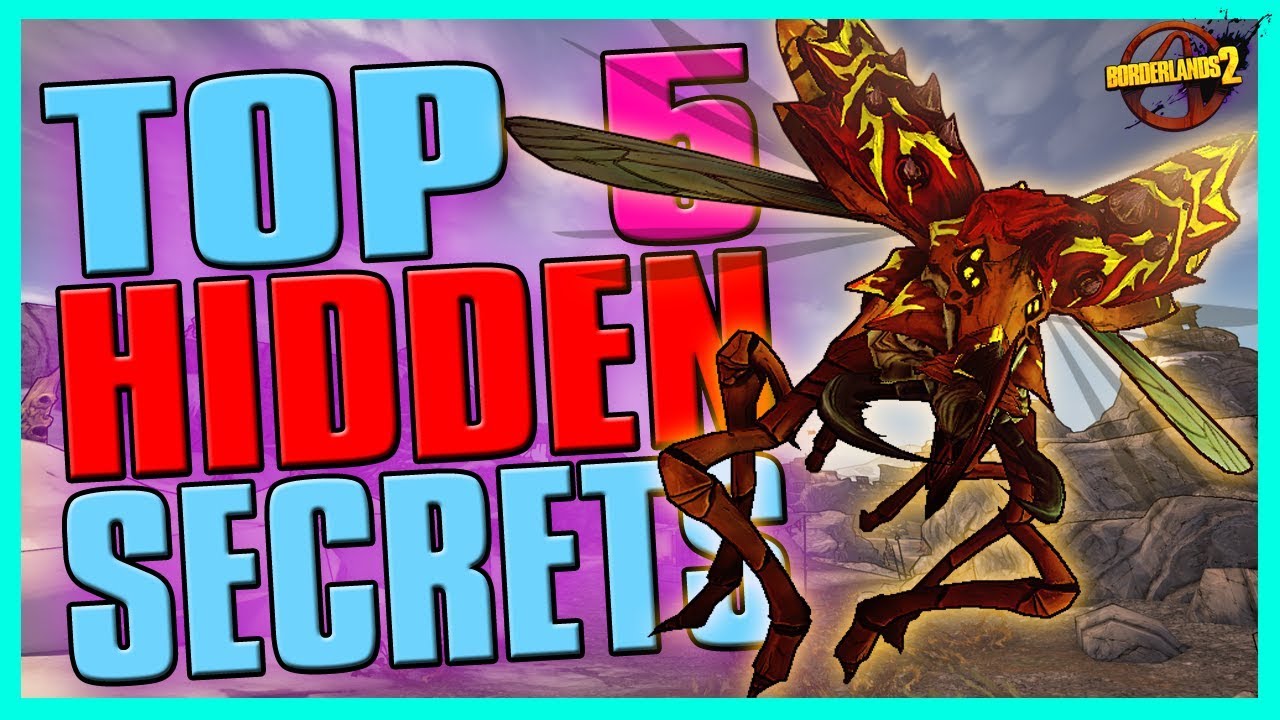 TOP 5 BEST HIDDEN SECRETS in Borderlands 2