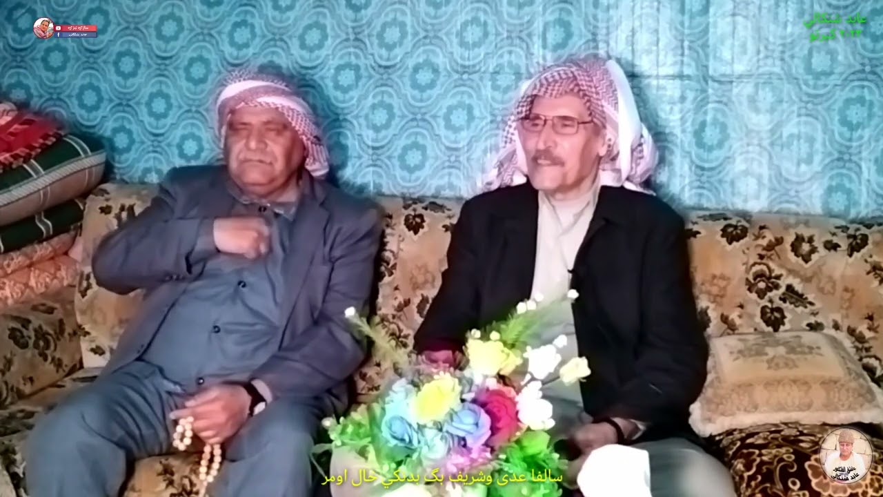 سالفا 