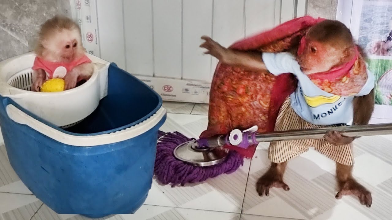 Abu's busy morning | Abu helps his mother clean the house (part 2)