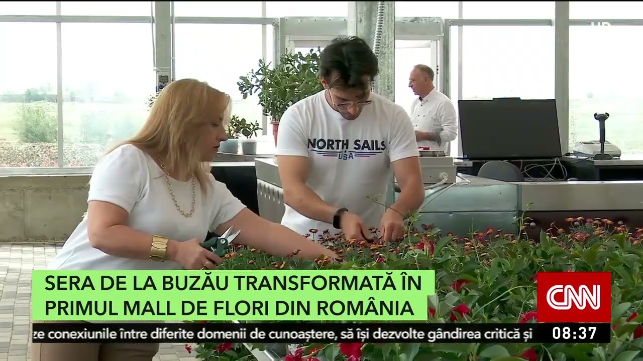 Povestea italienilor care s-au stabilit în România de 20 de ani și vând flori
