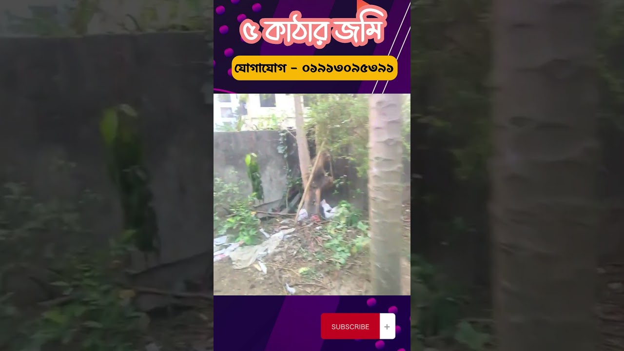 চানপাড়া ৫ কাঠার জমি বিক্রয় হবে /  Property dot com