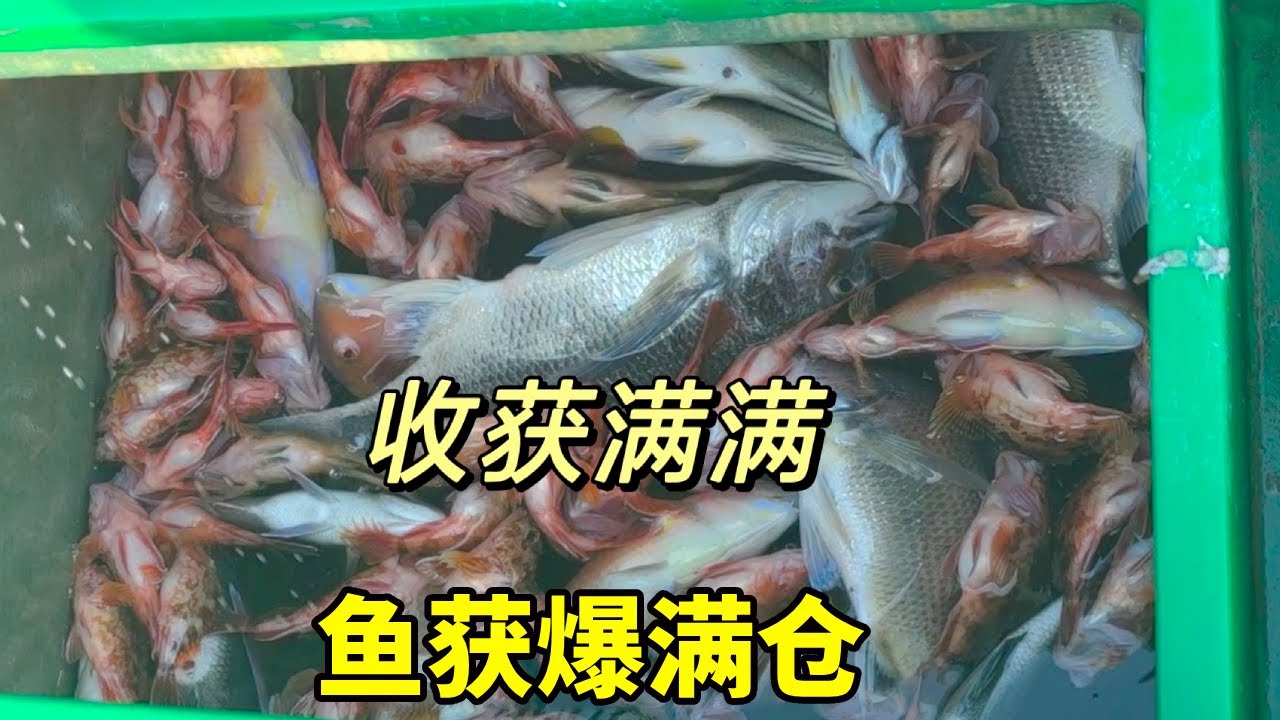 放3000枚排钩，就像有千人帮你钓鱼一样！鱼获爆满山