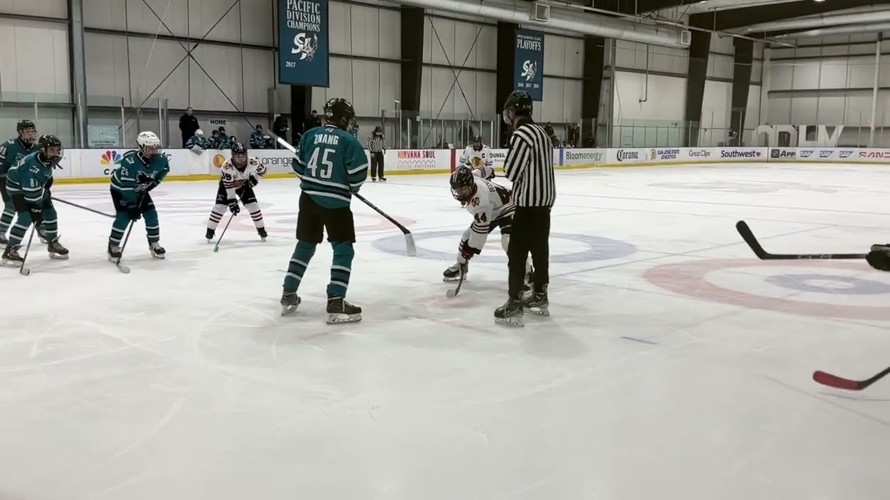 Regular Season Game #14 VS Sharks 14A February  22, 2026