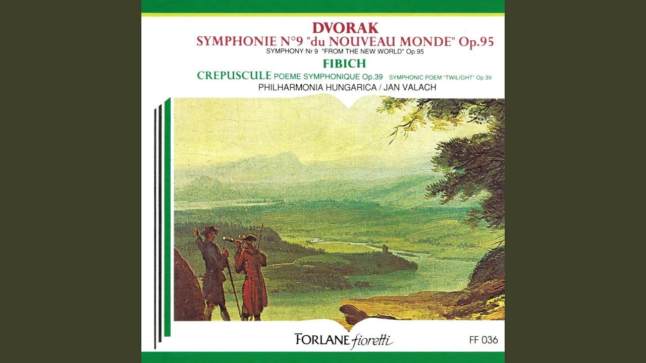 Symphonie No. 9 en mi mineur, Op.95: IV. Allegro con fuoco