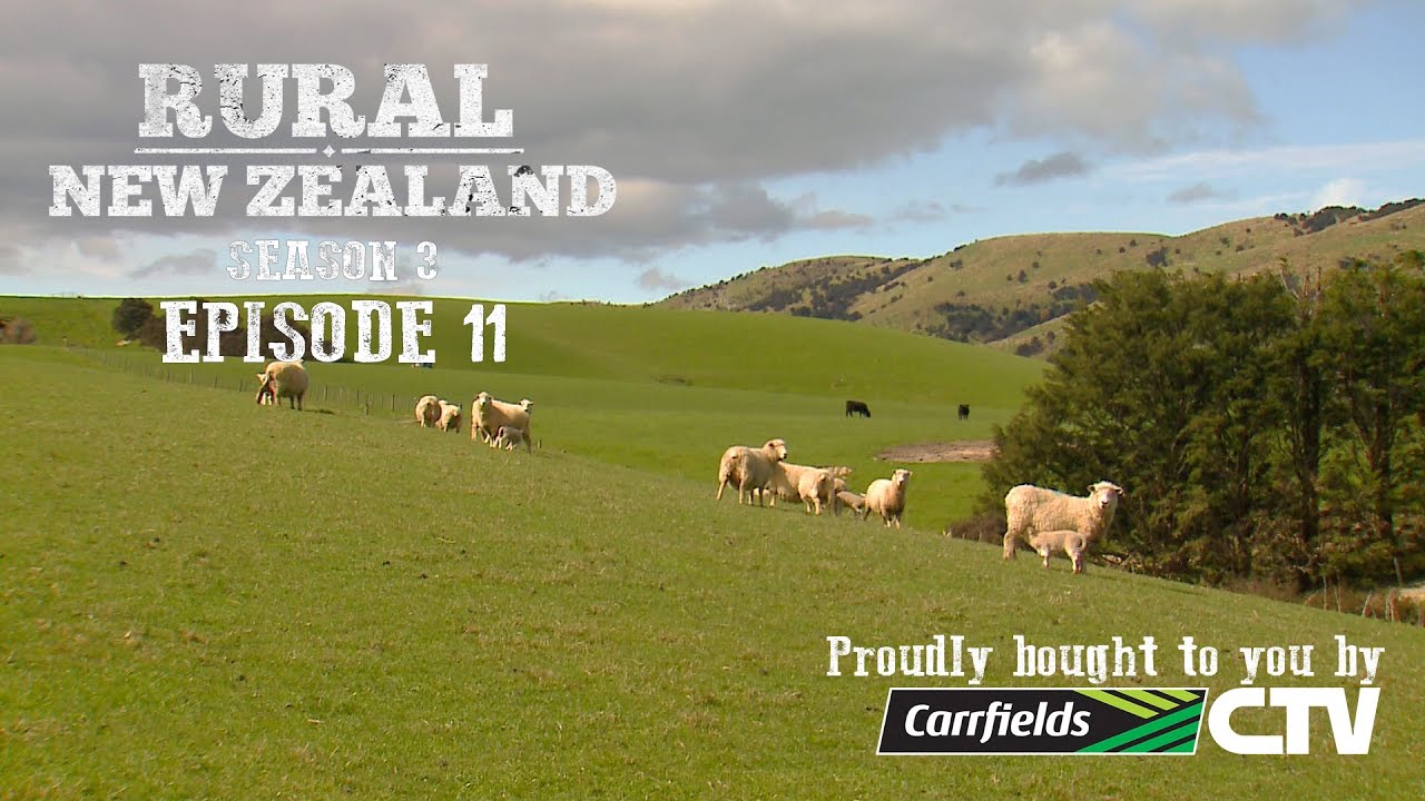 Rural New Zealand - S03 E11