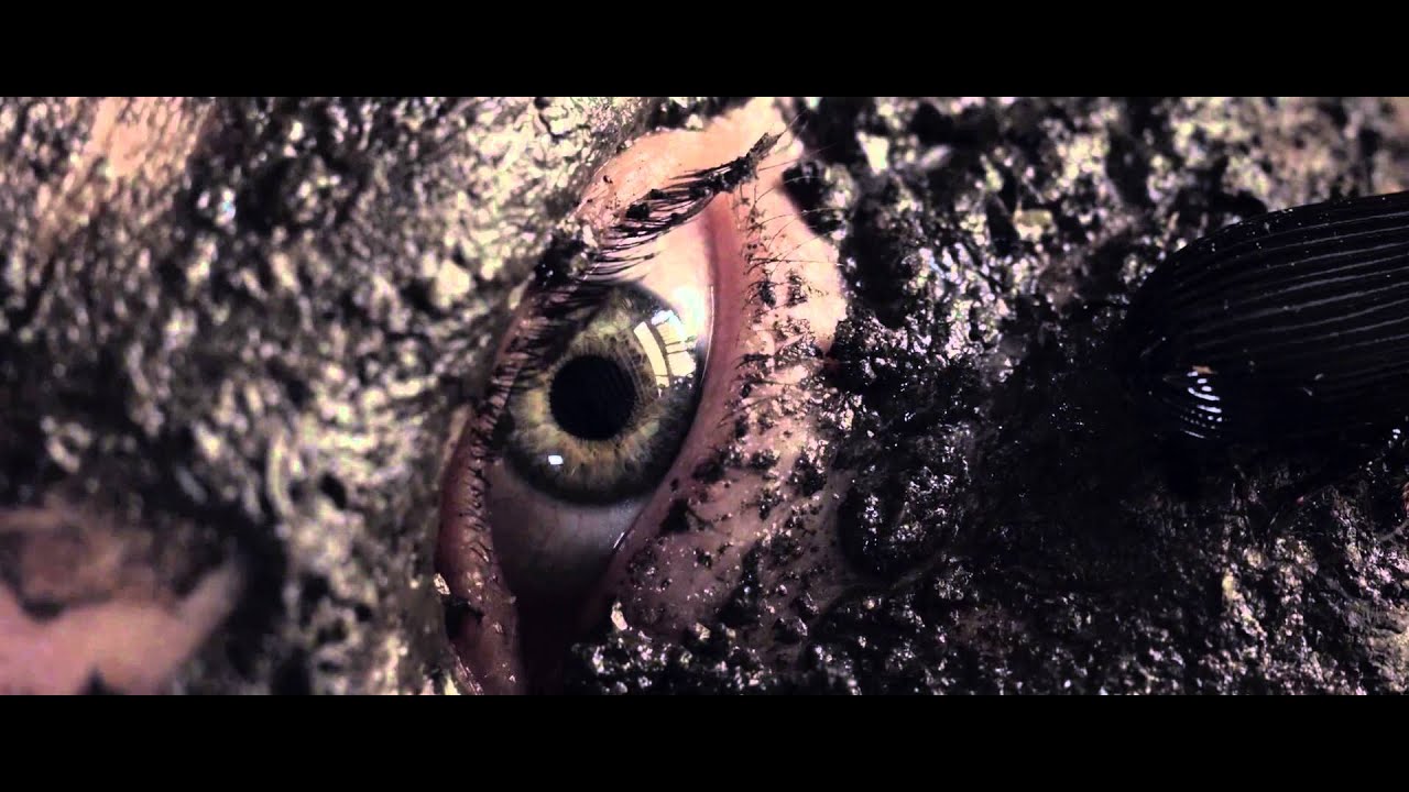 Majical Cloudz - Bugs Don't Buzz