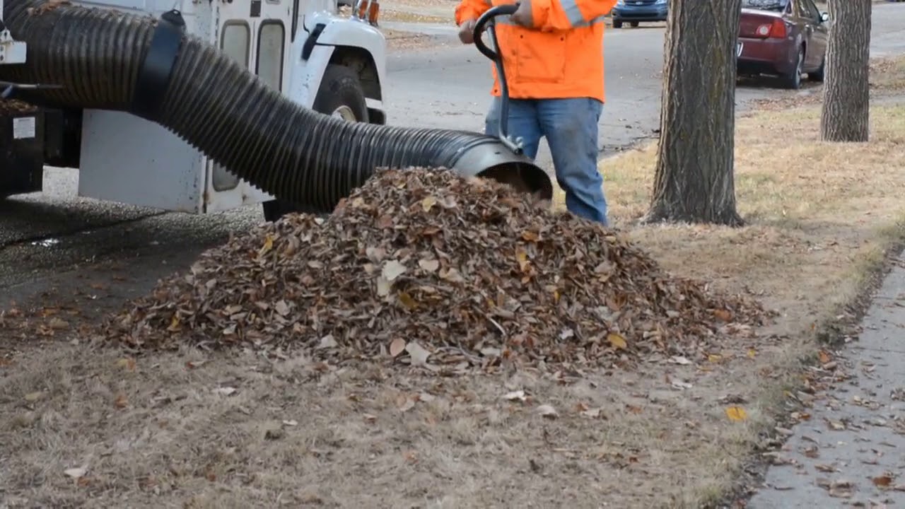 Leaf Collection 2017