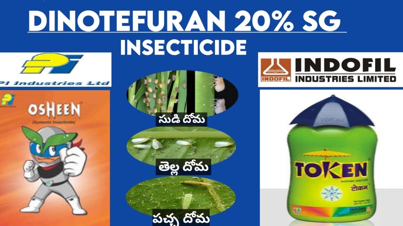 DINOTEFURAN 20%SG INSECTICIDE // PI OSHEEN // INDOFIL TOKEN // FULL DETAILS WITH MODE OF ACTION