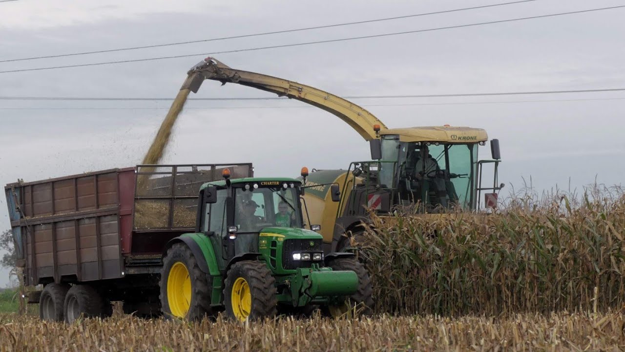Listopadowa Kukurydza na Kiszonkę 2020||Krone|John Deere|Fendt|Agro-Malesz||Wielkopolska