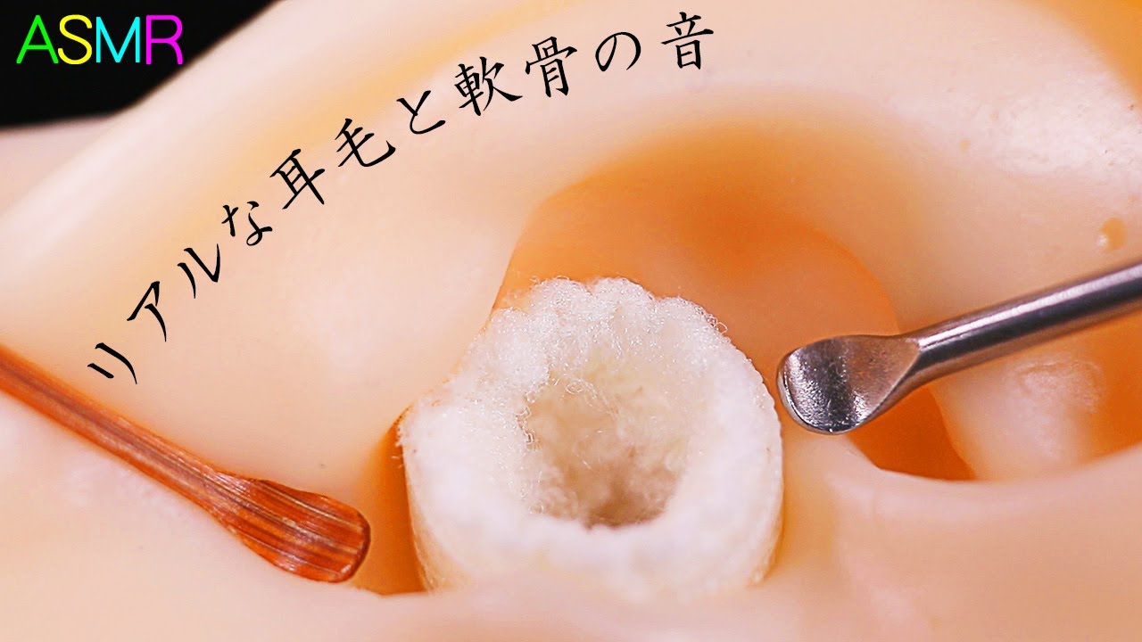 【ASMR】やさしいタオル耳穴でﾓｼｬﾓｼｬ耳毛とｺﾘｺﾘ軟骨の耳かきの音🤤👂カリカリのマジックテープと柔らかタオルで爆誕せし耳穴をステンレス耳かきで鼓膜まで耳掃除♪作業用・睡眠用・70分間【音好き】