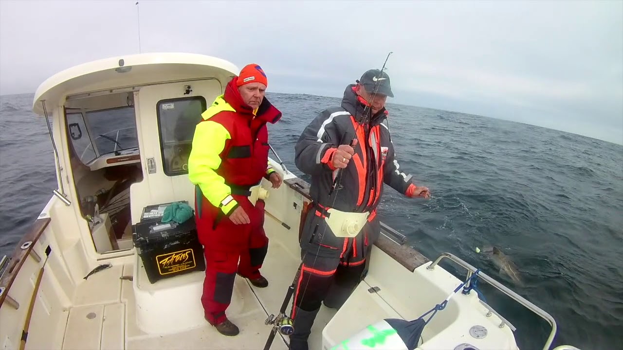 Torsvag Havfiske 2017