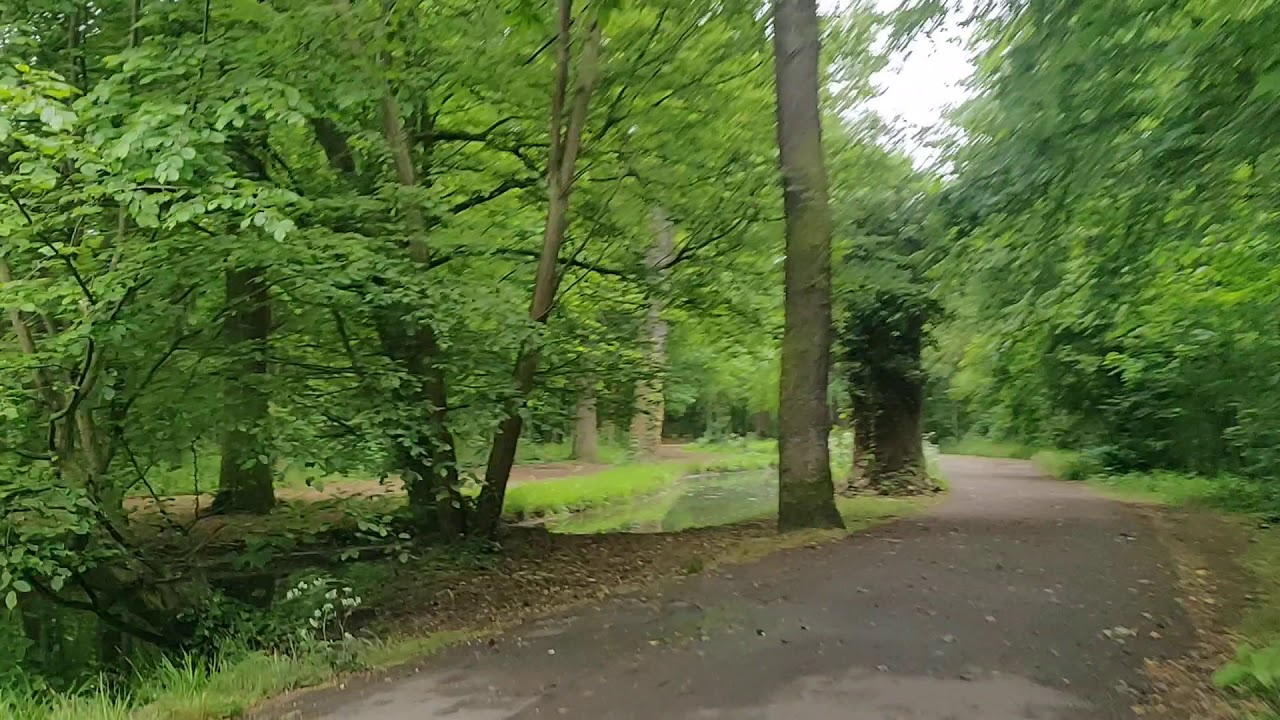 Bois de Boulogne