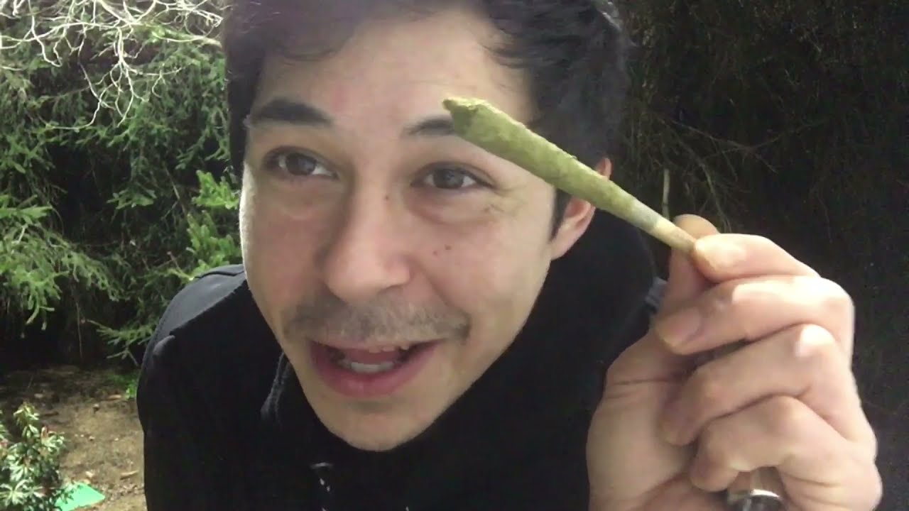 1 Gram Infused CBD Pre-roll Review