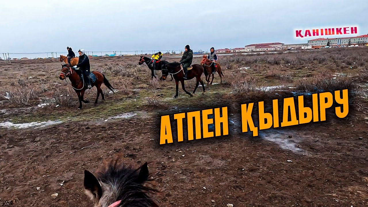 Атқа мініп серуендеу. Ат аяғы тайып құлап үстіндеге адамды сүйреді