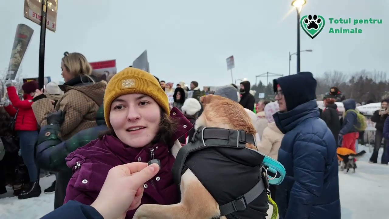 Vox Anima de la PROTESTUL împotriva cruzimii asupra animalelor București (12)