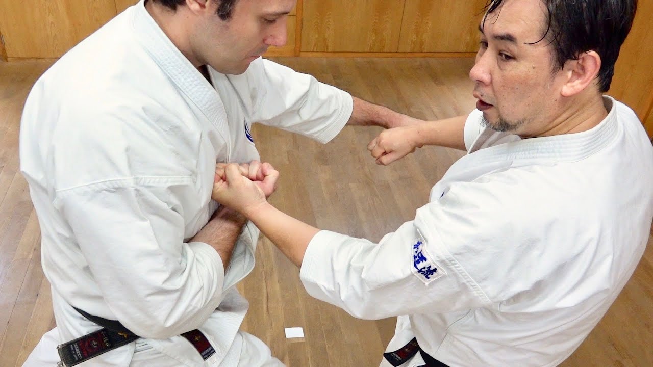Wado-ryu Karate look like Wing Chun!