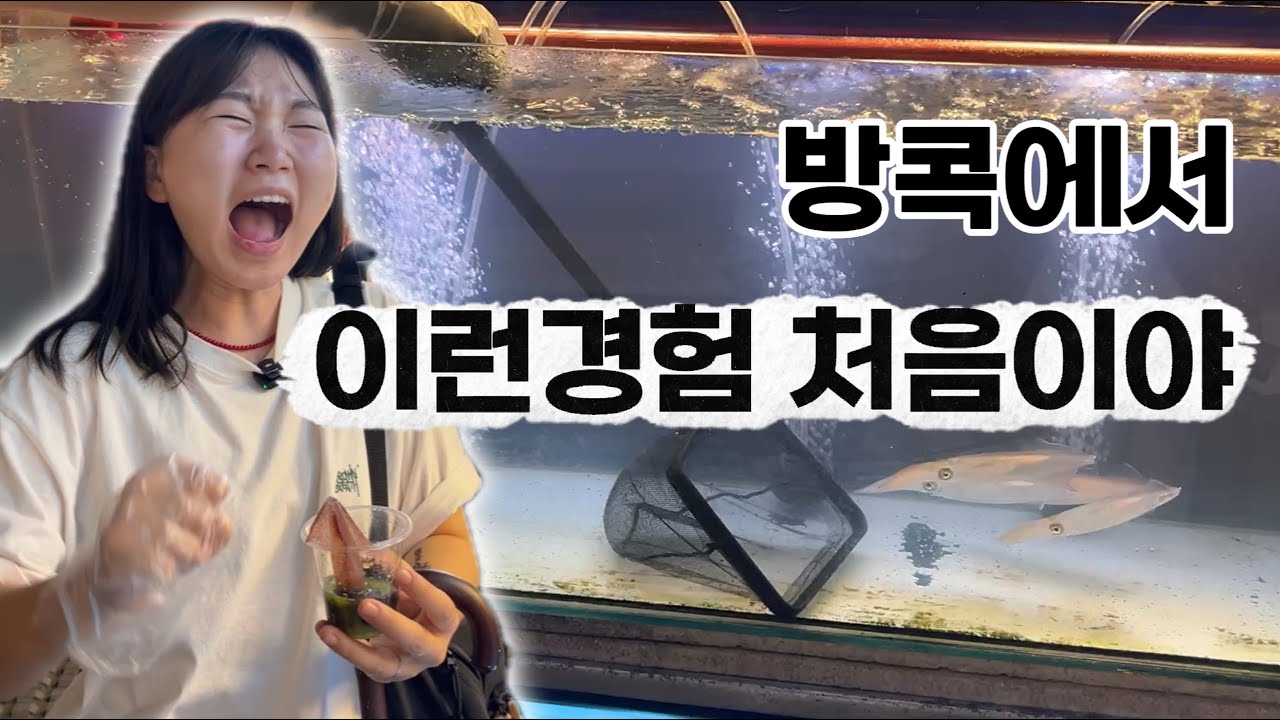 [Vlog] 태국 방콕 브이로그 2편 | 추천 맛집, 시암 파라곤, 조드페어 야시장, 티추까 루프탑바, 룸피니 공원 | 팁싸마이, 히어하이, 찜쭘, 룽르엉, 팡차 빙수, 꽝 시푸드
