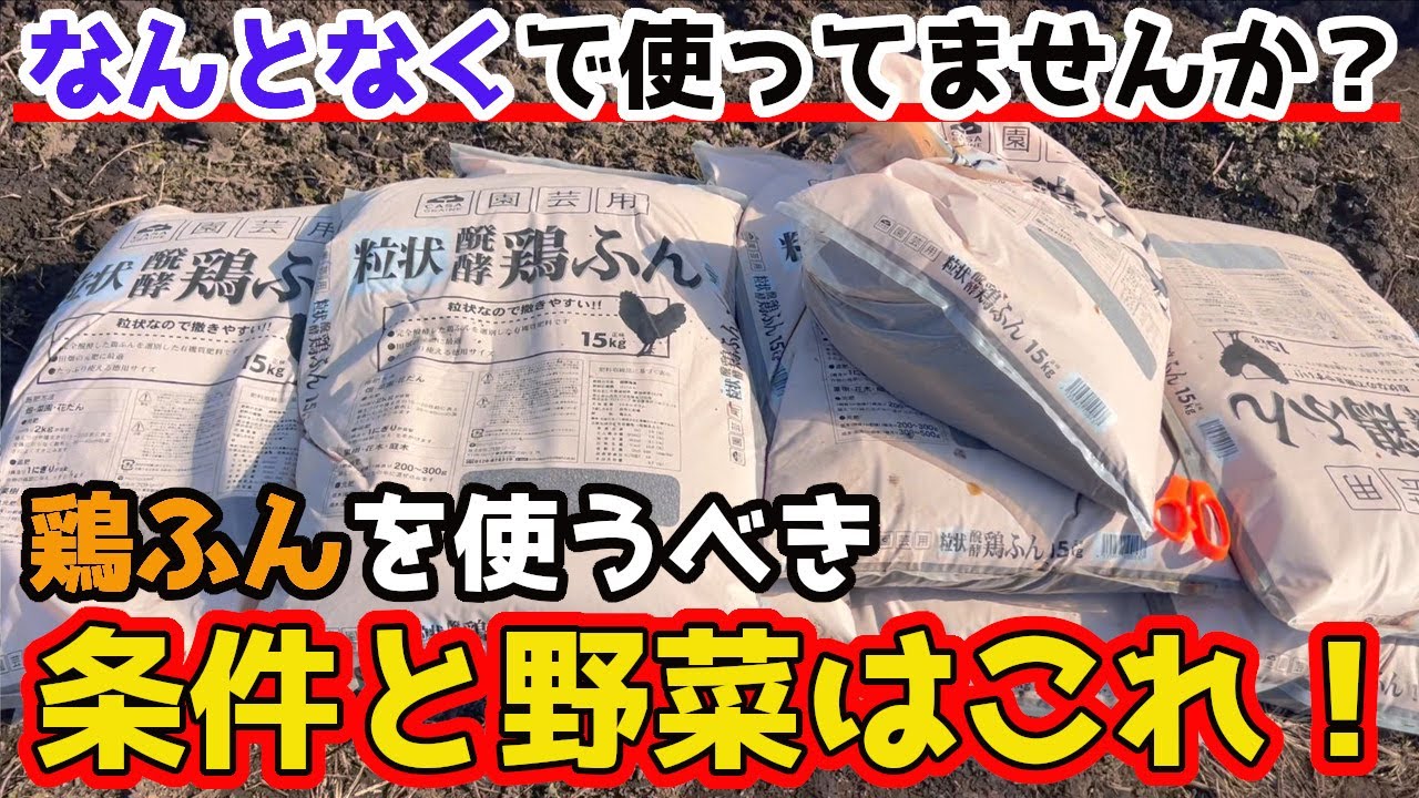 【土作り】で鶏ふんを使う場合の理由と相性のいい野菜を紹介します。【家庭菜園】