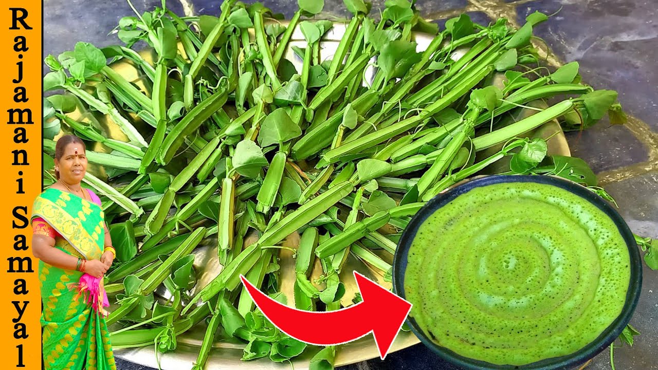 கால்சியம் , இரும்பு சத்து மிக்க பிரண்டை தோசை | Pirandai Dosai Recipe | adamant Creeper Dosa Recipe