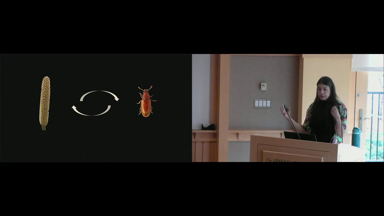 AA Research Talks Live:  Wendy Valencia-Montoya