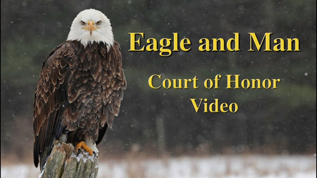 Video for your Eagle Scout Court of Honor