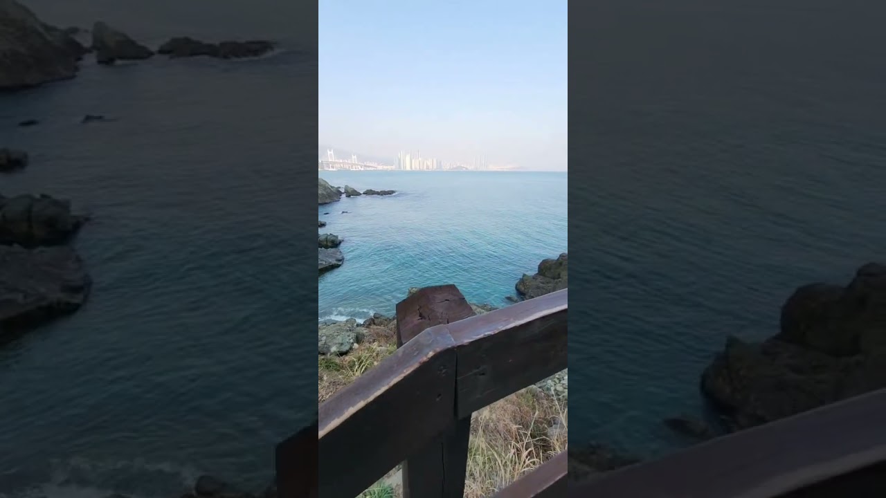 2026년 2월 17일