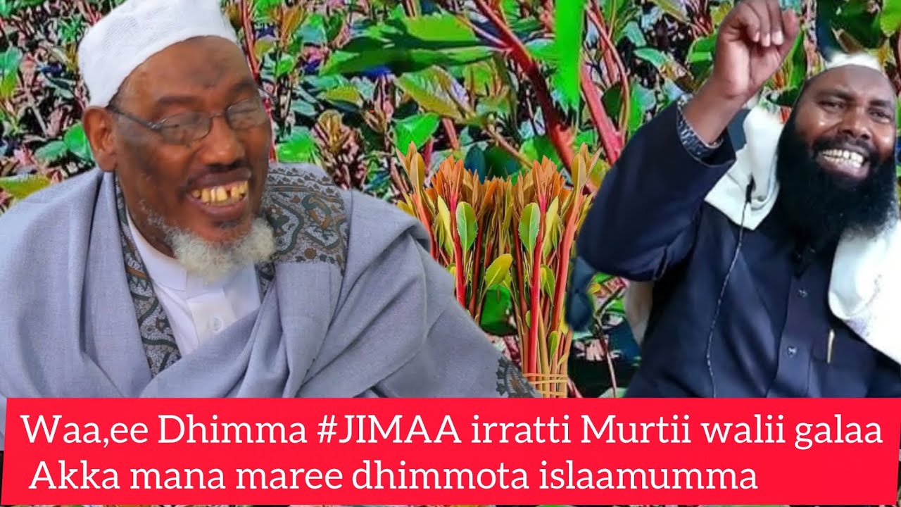 Murtii walii galaa Waa,ee #Jimaa irratti Muftiin Sheek Muusa Su,aala faan Fatawaa #ethiopia #jimaa #