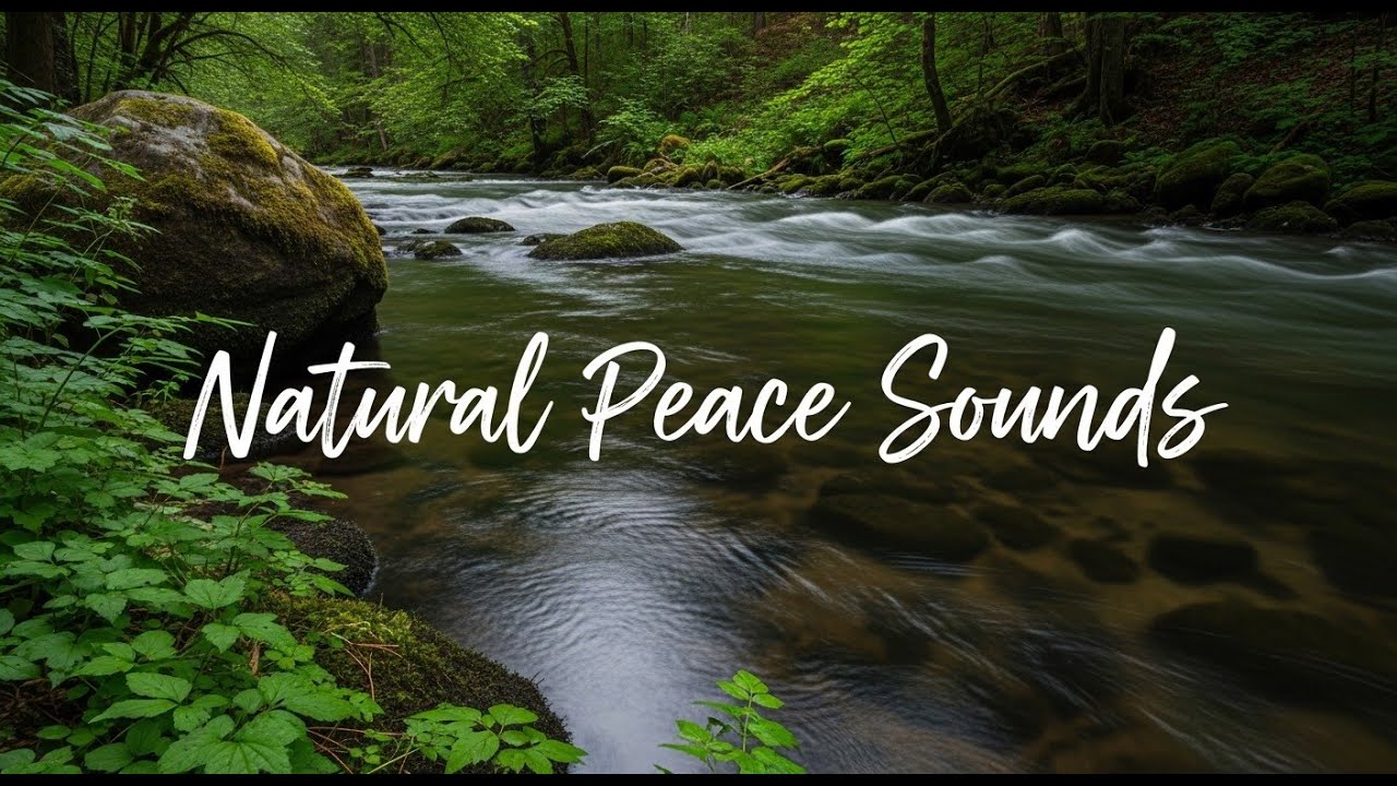 Tranquil River Nature Sounds 12 Hours Natural White Noise for Insomnia