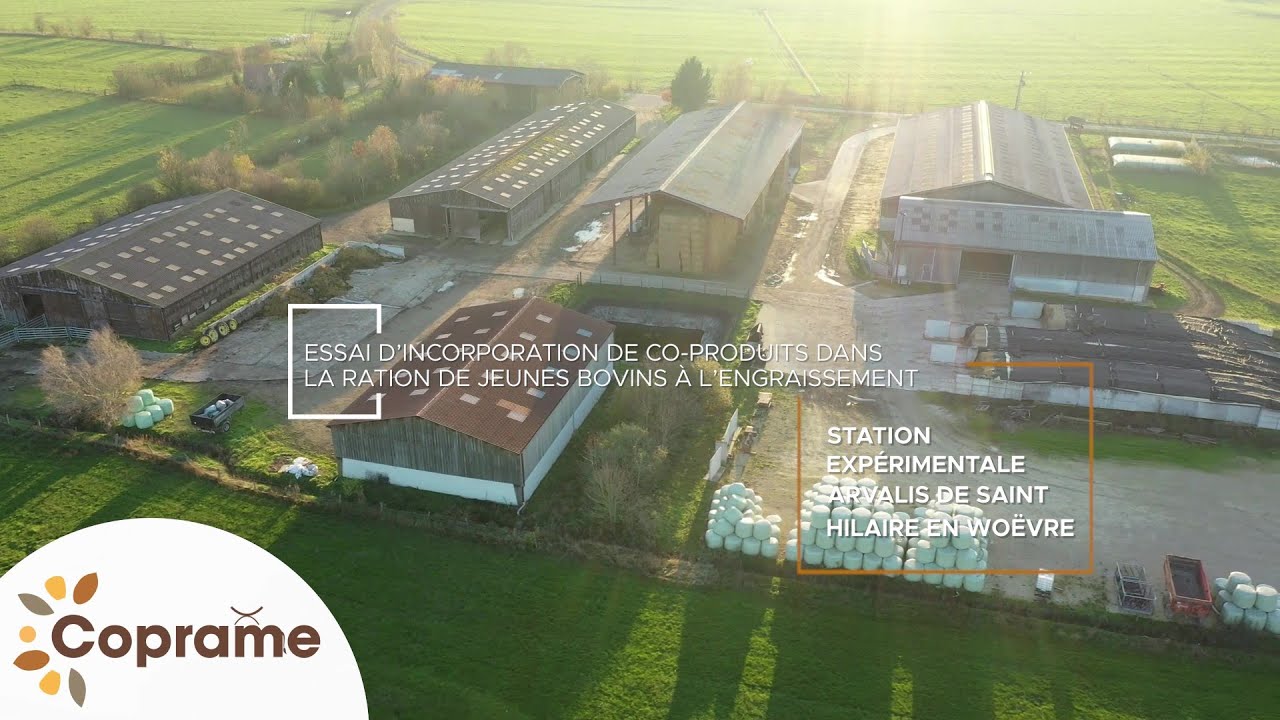 [ Coprame ] Essai d'incorporation de co-produits dans la ration de jeunes bovins à l'engraissement