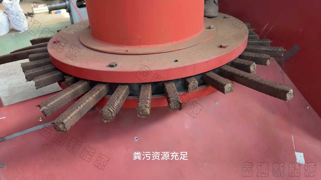 High-density cow and sheep manure briquettes, when compressed into fuel using a briquetting machine,